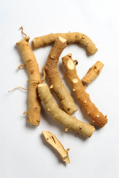 Chinese Angelica (Dong Quai)